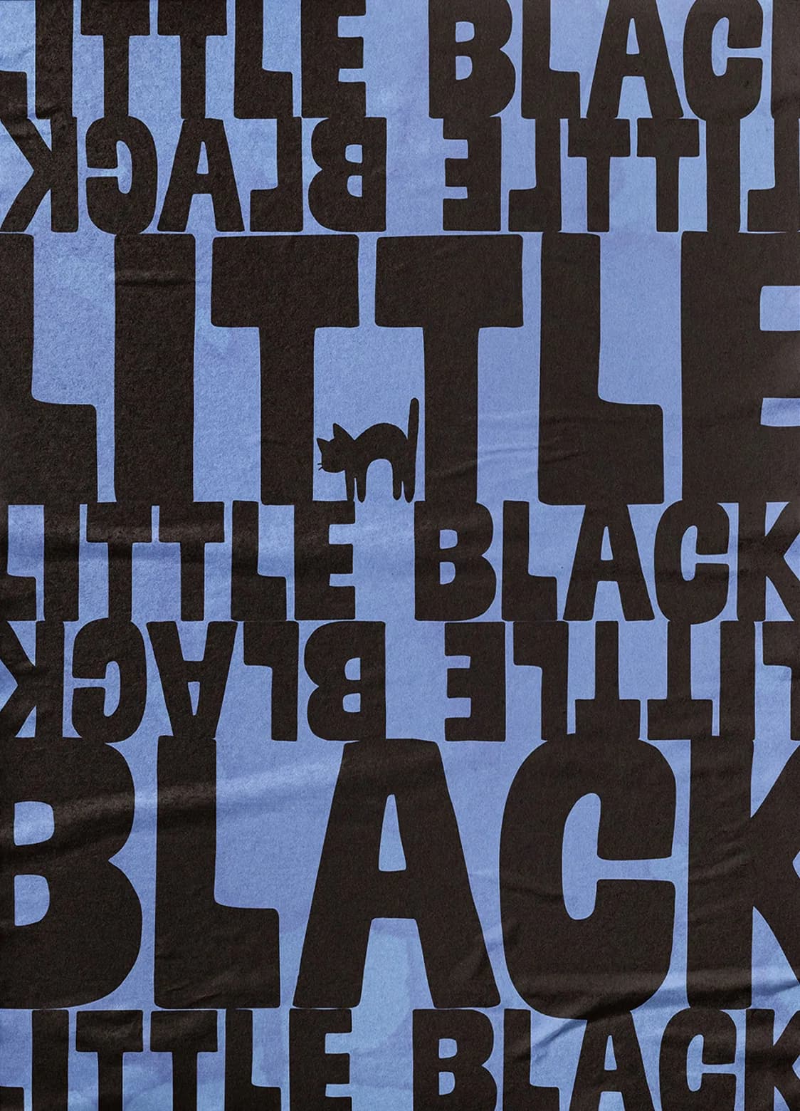 Plakat Little Black — czarno-błękitna kompozycja typograficzna z sylwetką kota
